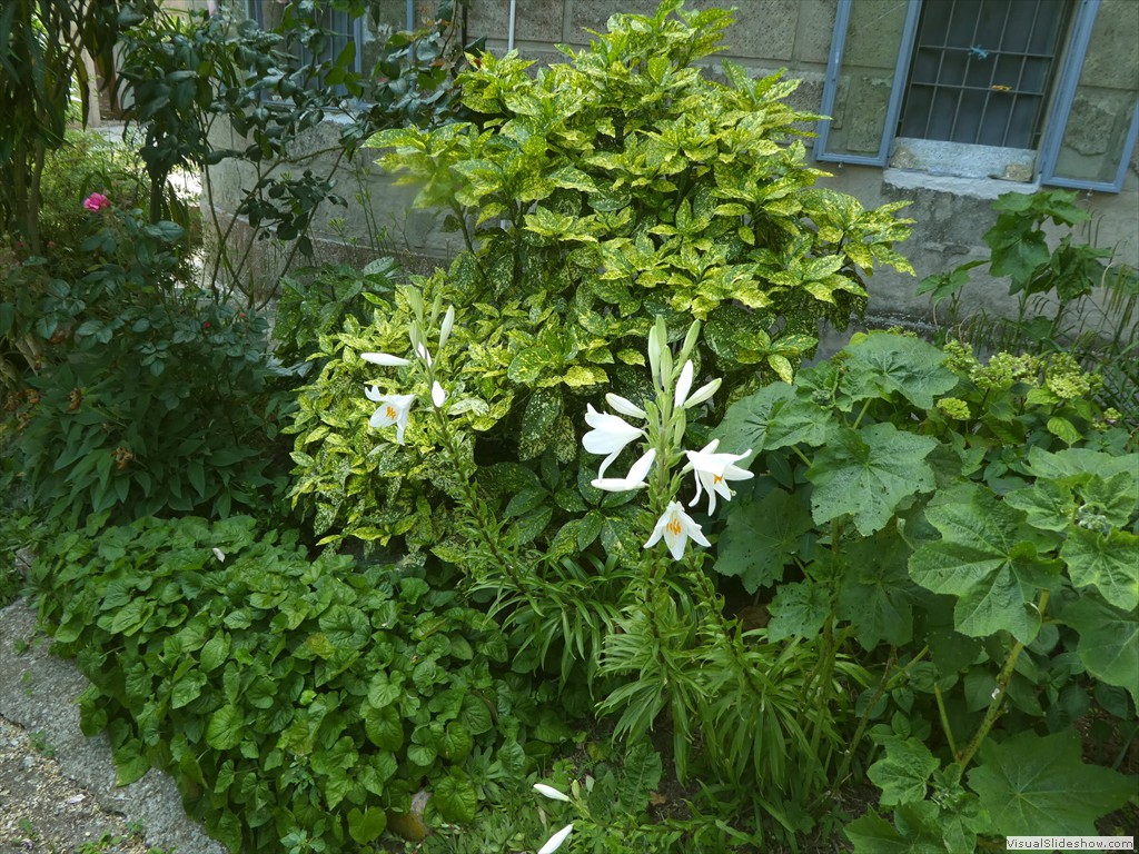 P1050568