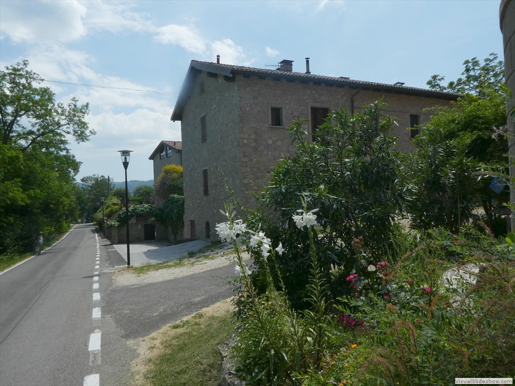 P1050569