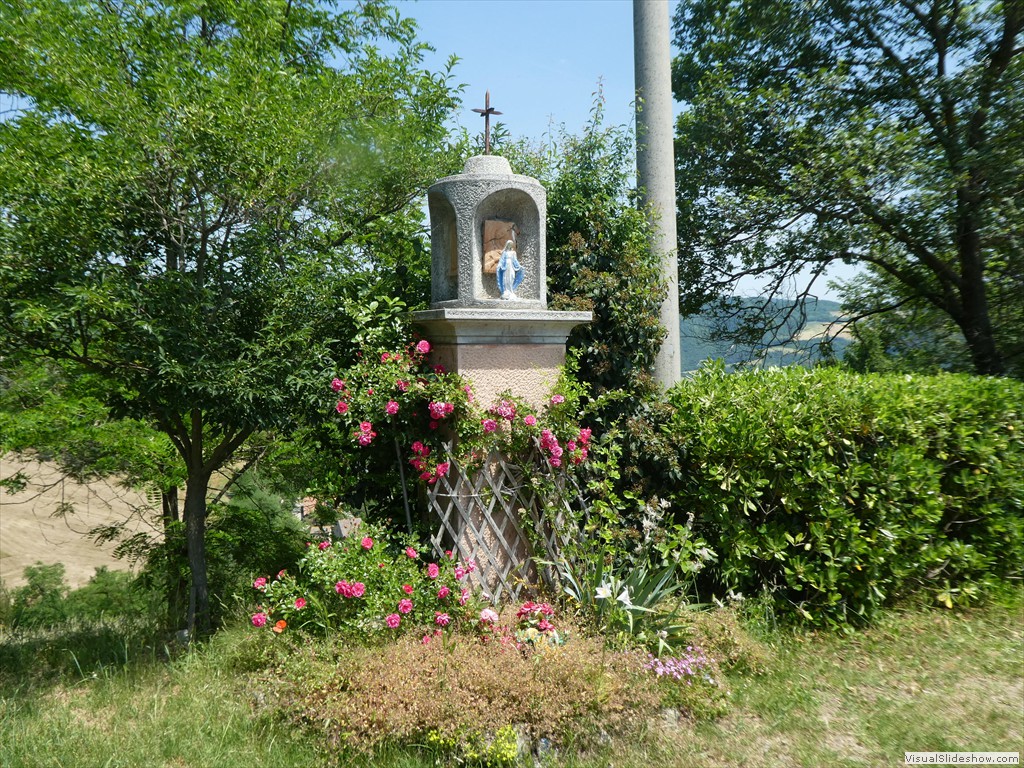 P1050572