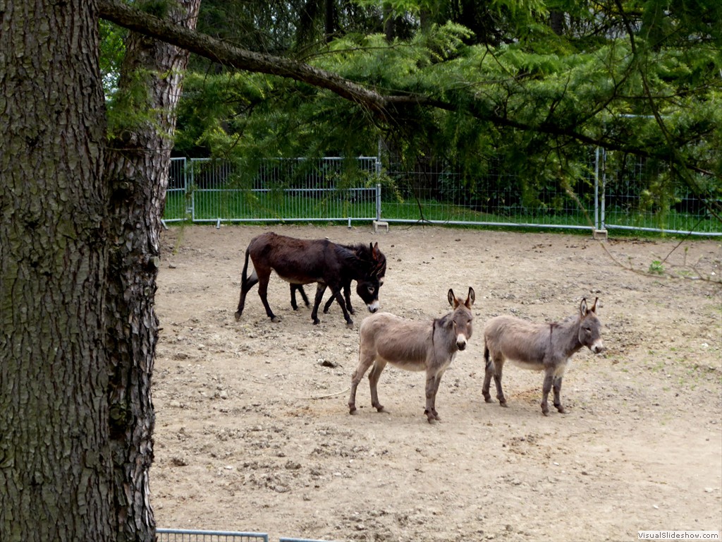 P1030593