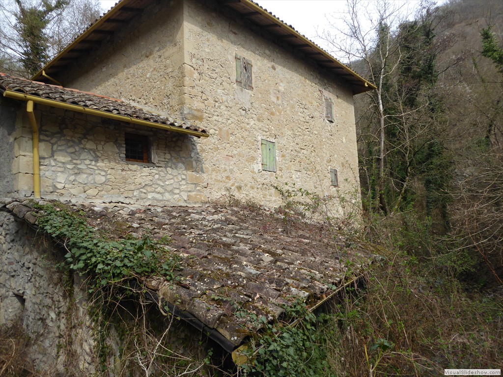 P1030603