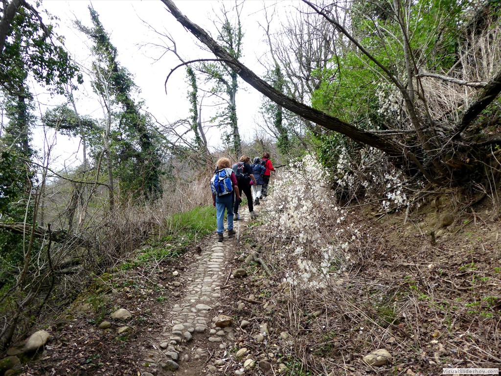 P1030610