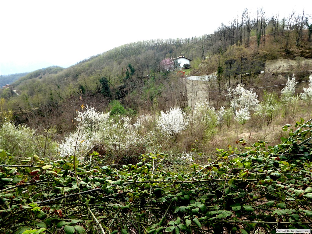 P1030614