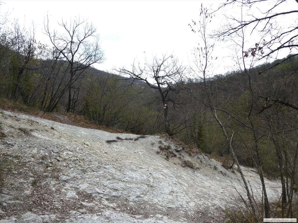 P1030623