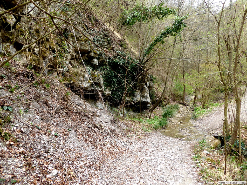 P1030625