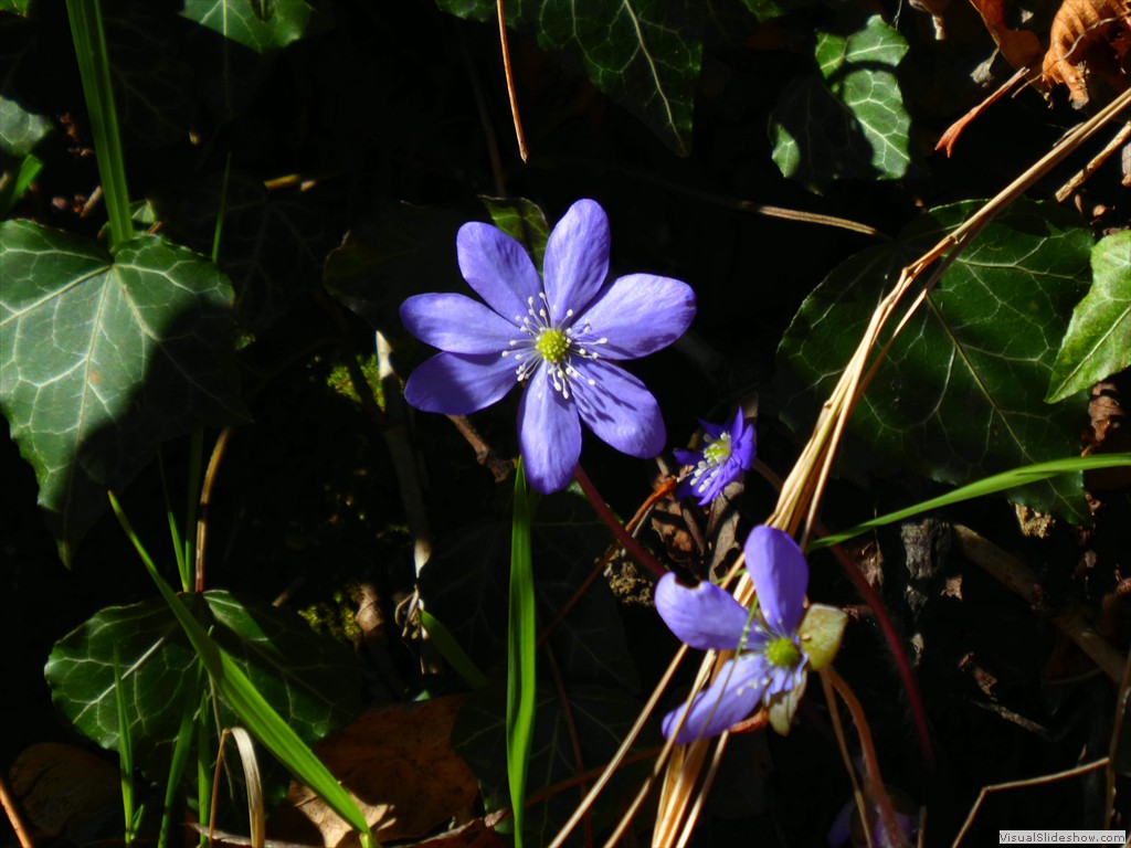 P1030360