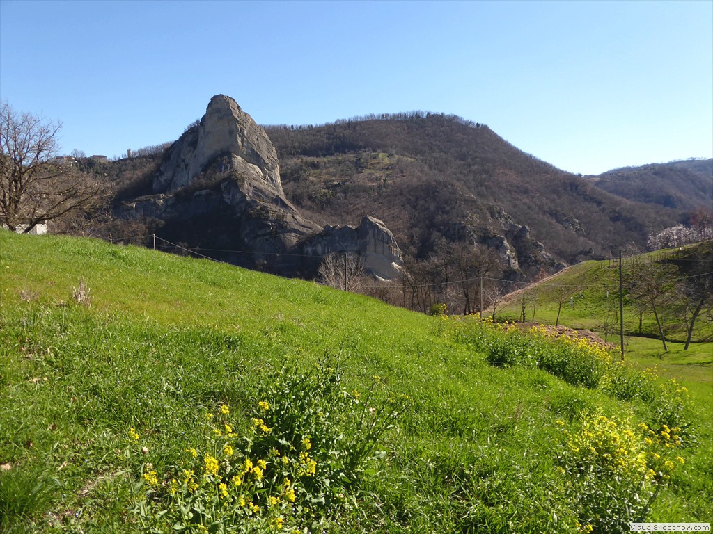 P1030365