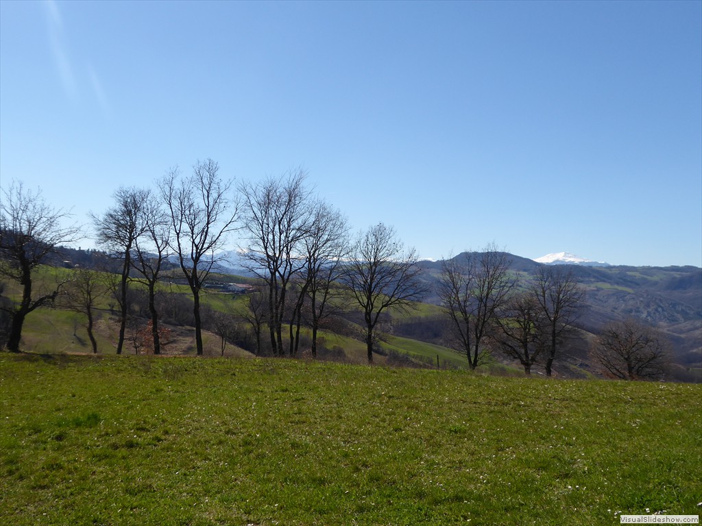 P1030373
