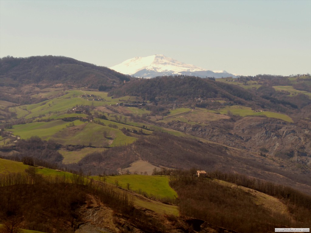 P1030381