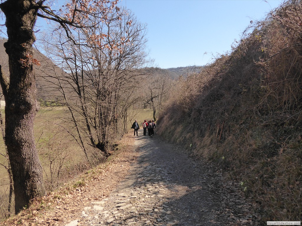 P1030390