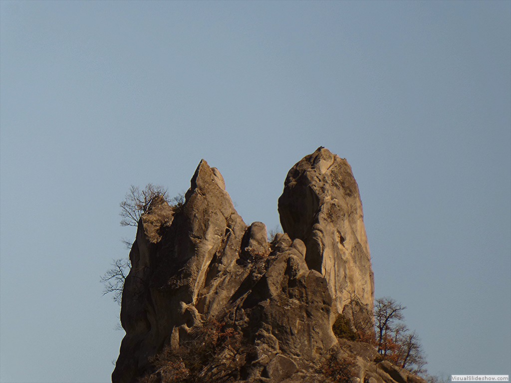 P1030393
