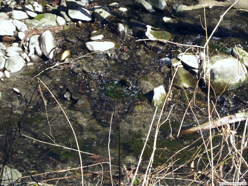 P1030406