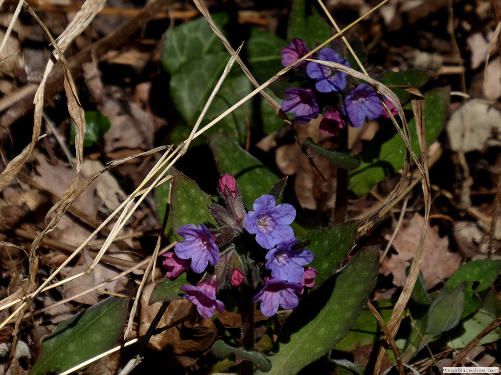 P1030426