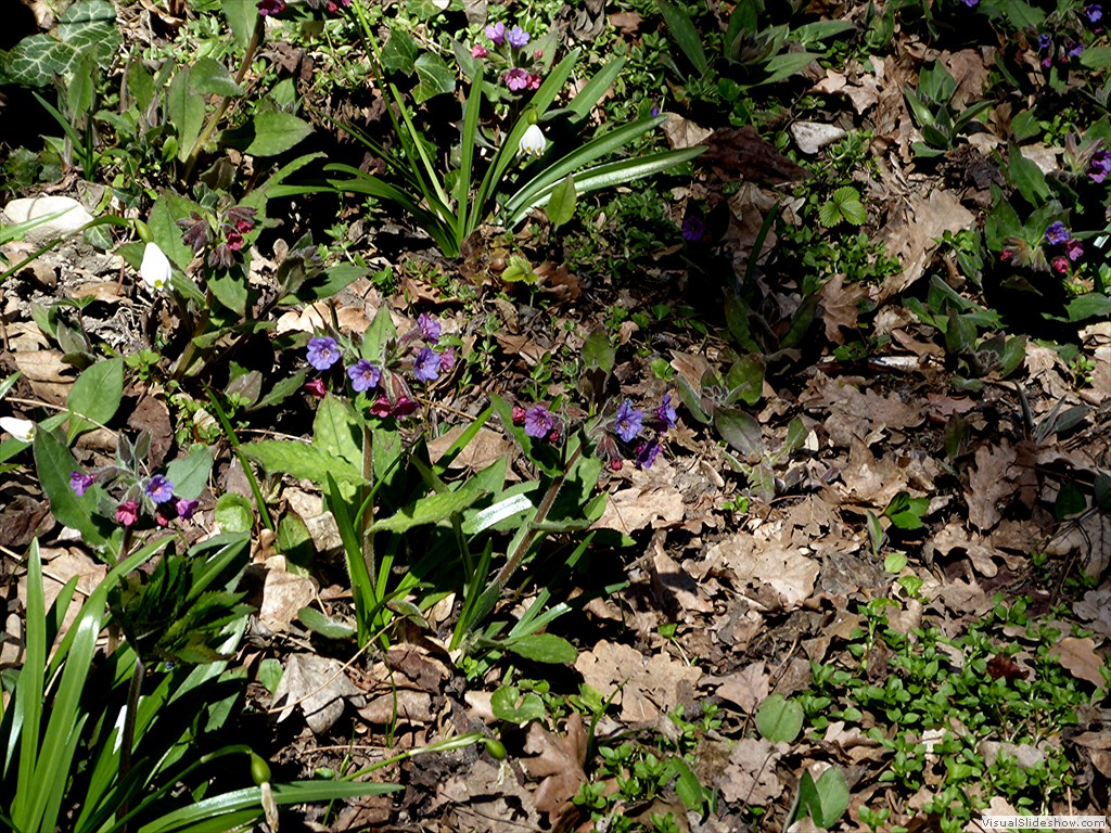 P1030427