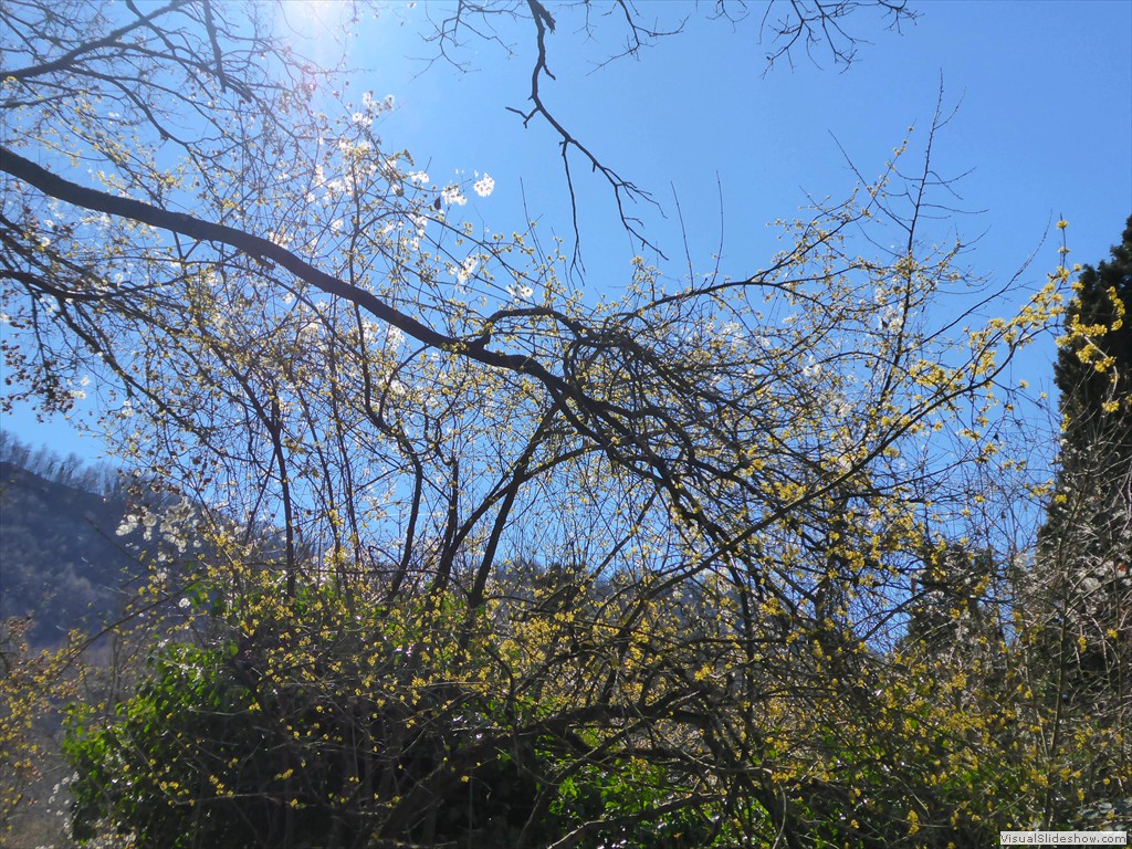 P1030432
