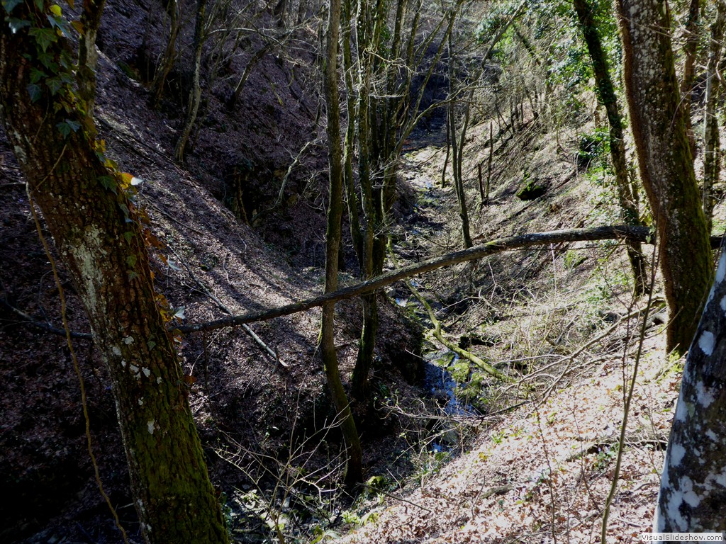 P1030438