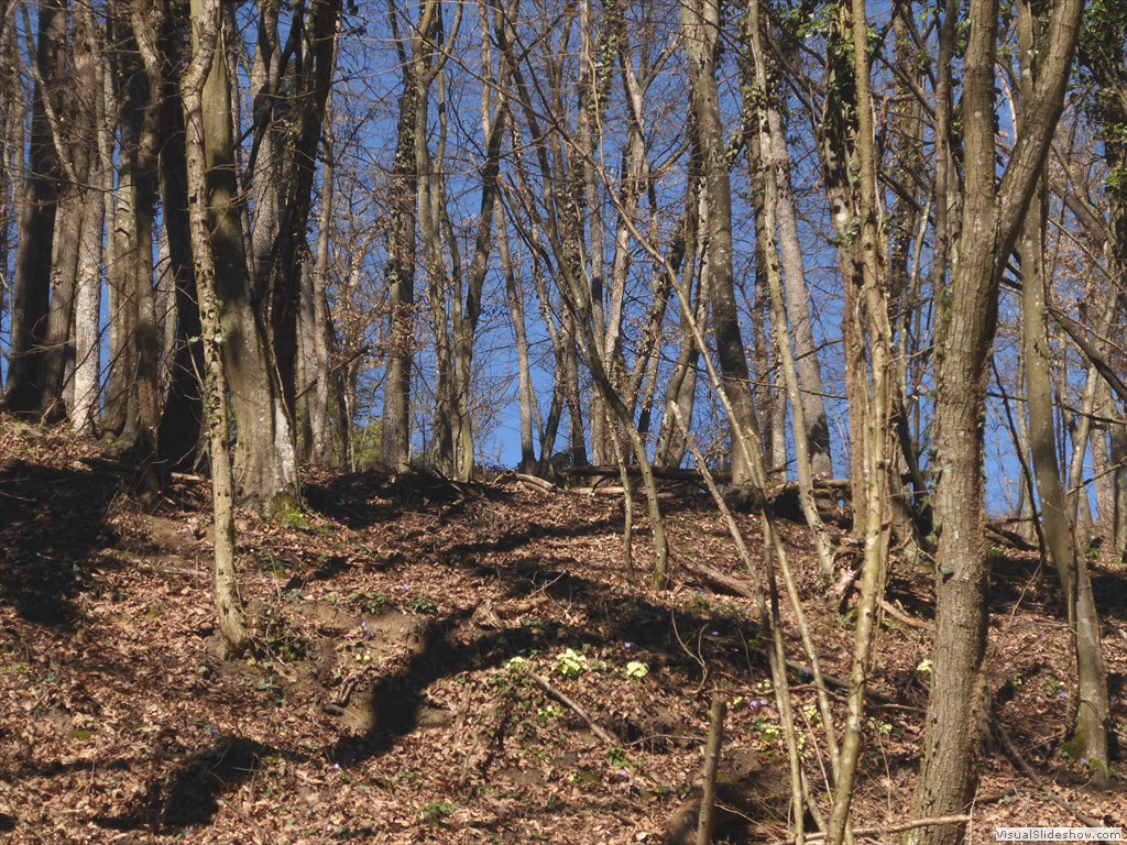 P1030444