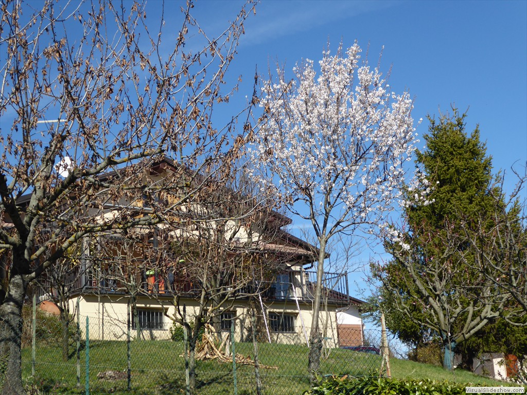P1030451
