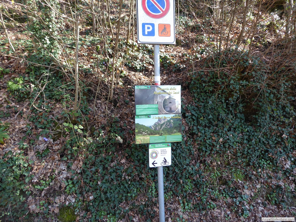P1030459