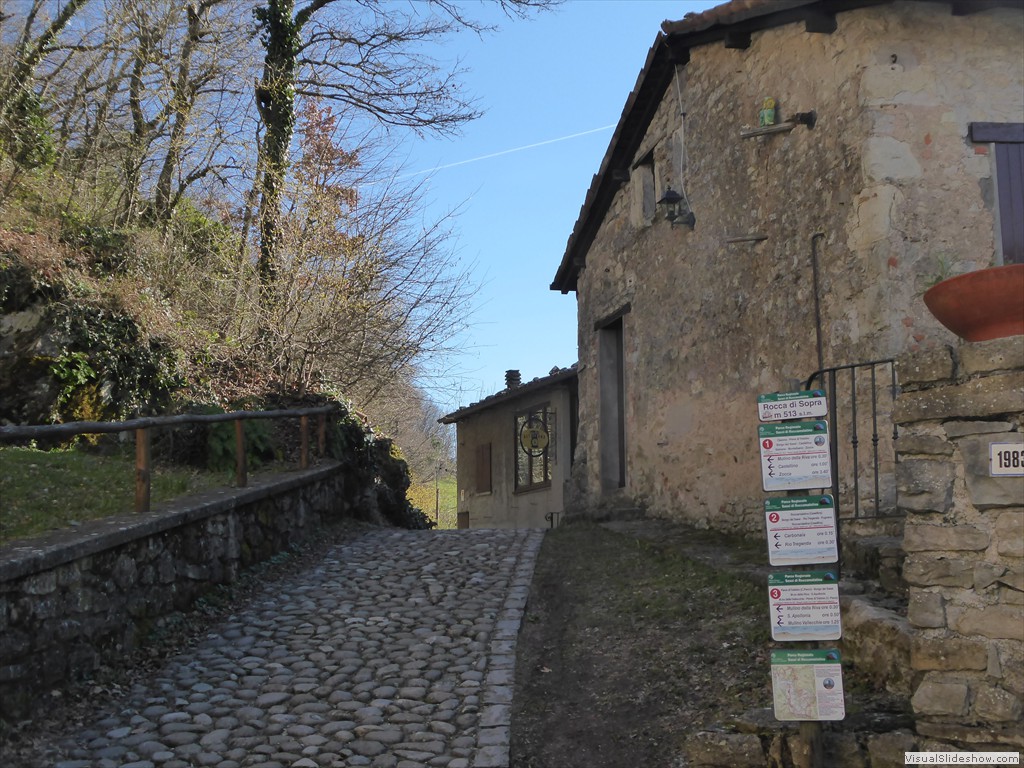 P1030461