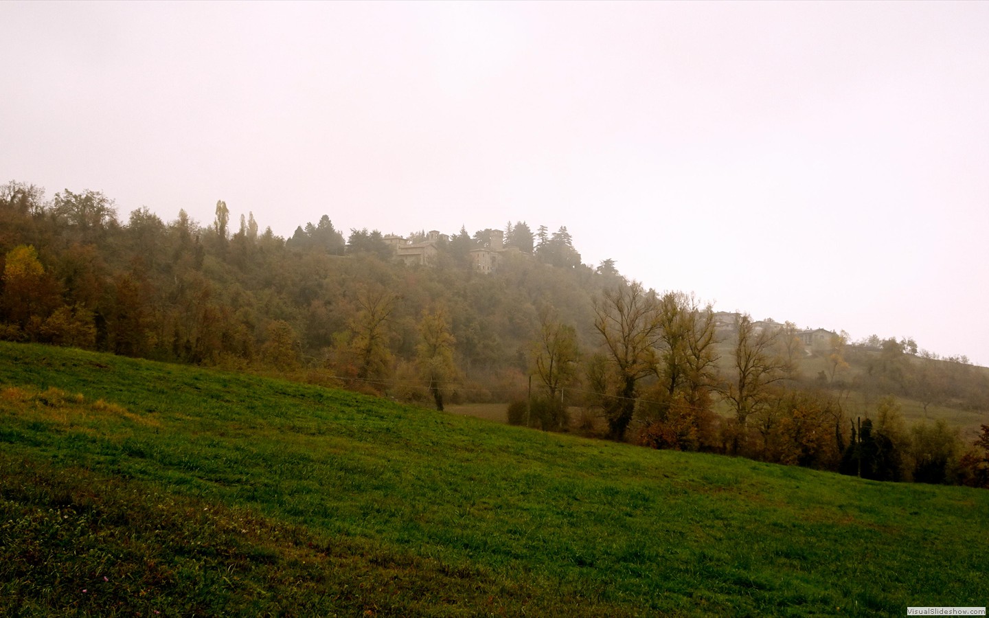 DSC03061