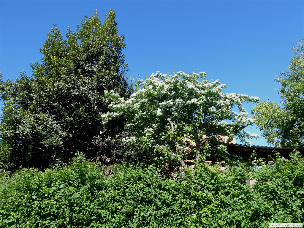 P1040215