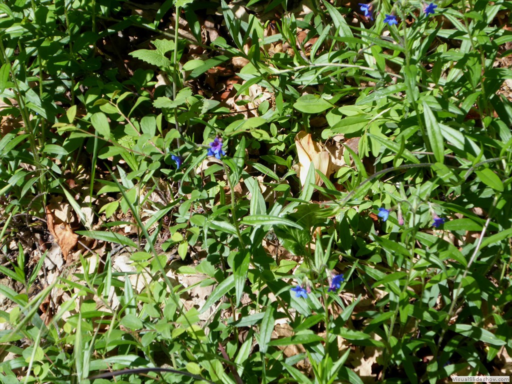P1040216