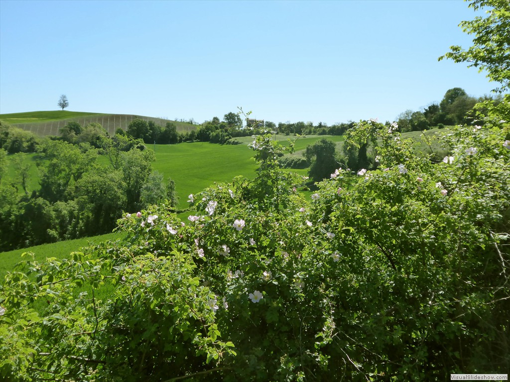 P1040223