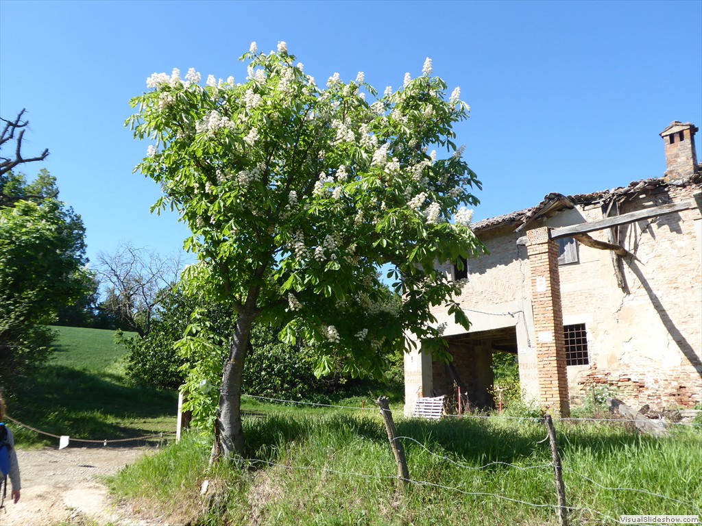 P1040227