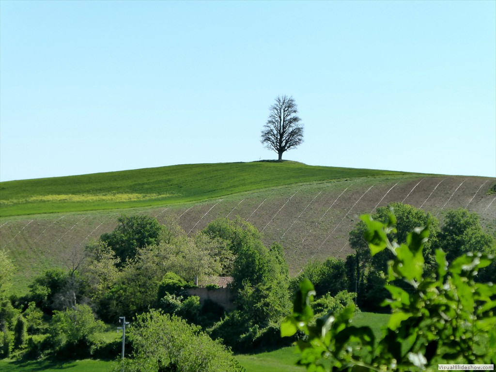 P1040230