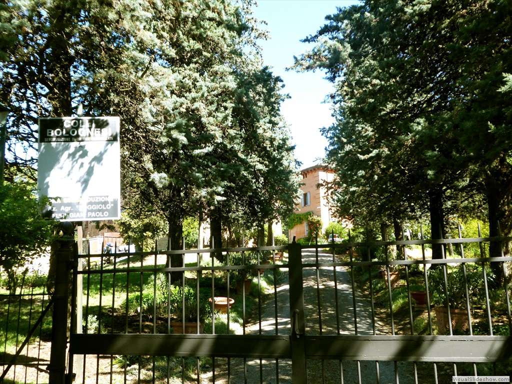 P1040237