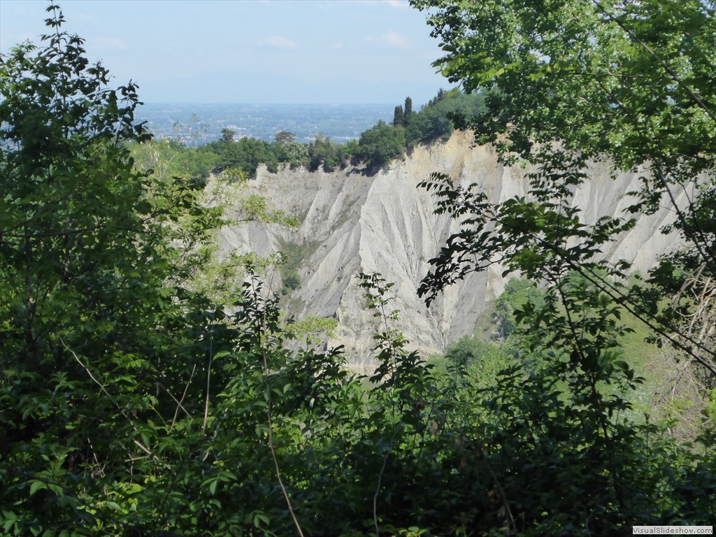 P1040239