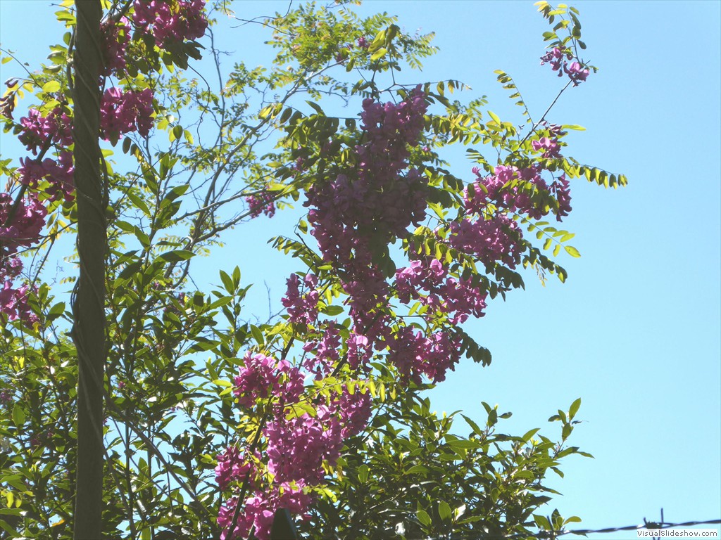 P1040244