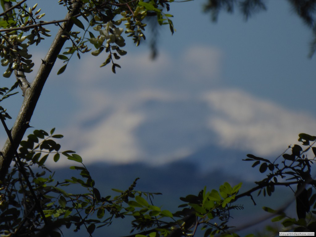 P1040245
