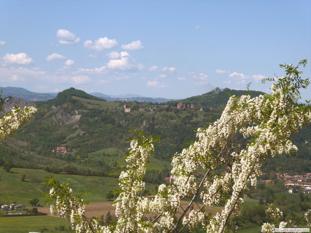 P1040251
