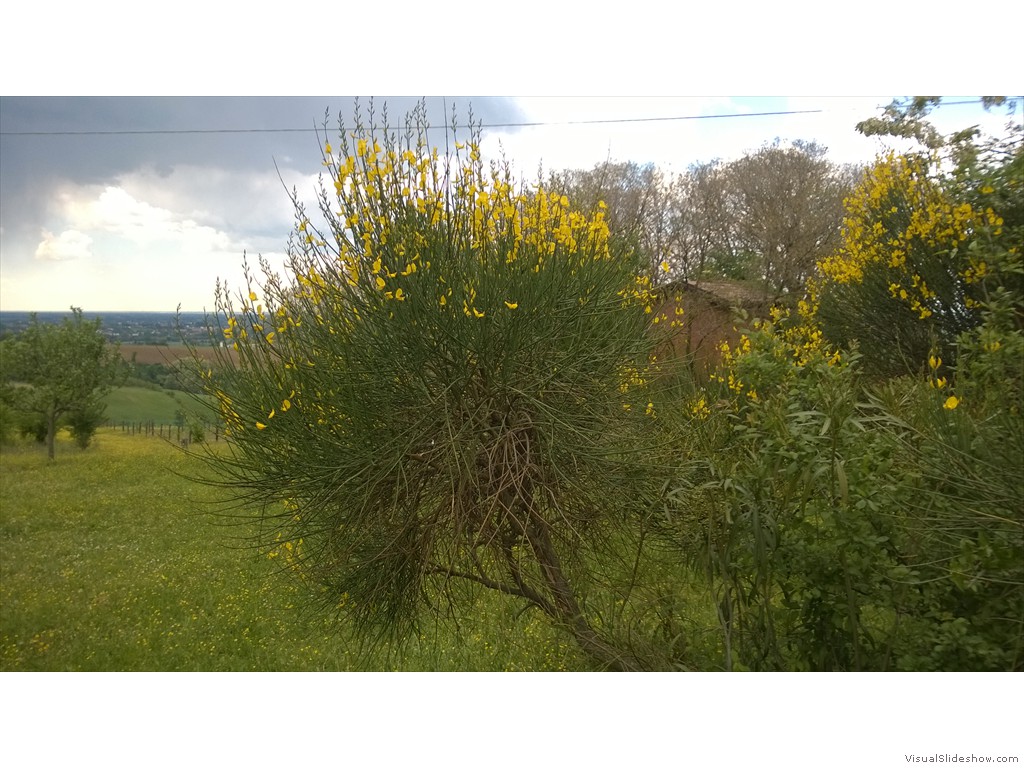 WP_20170419_009