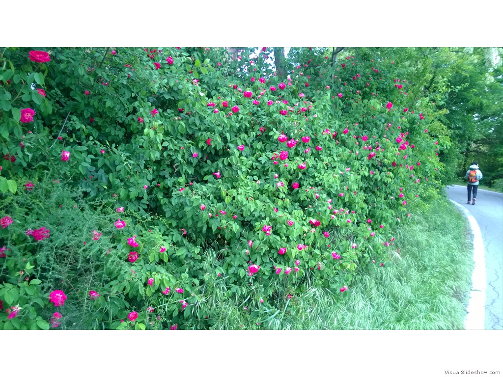 WP_20170419_010