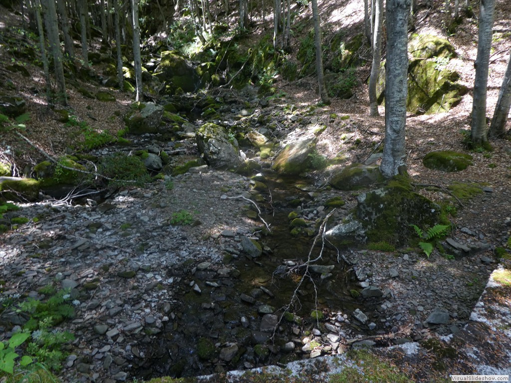 P1050771