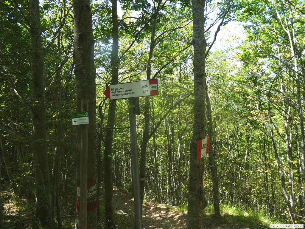P1050772