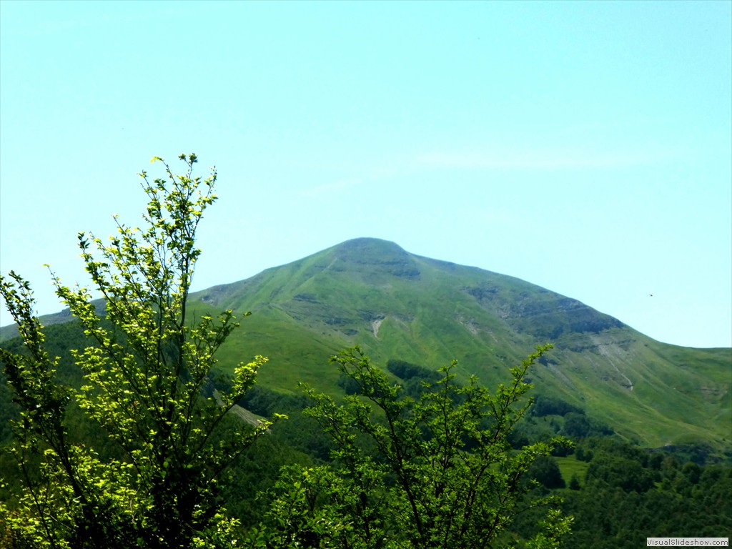 P1050775