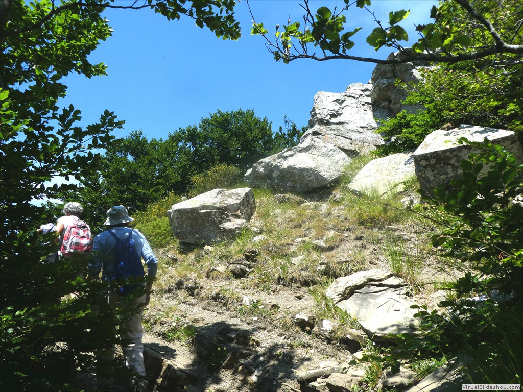 P1050777