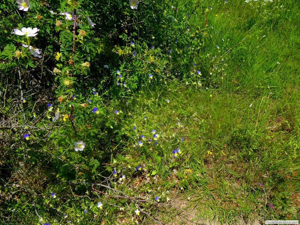 P1050789