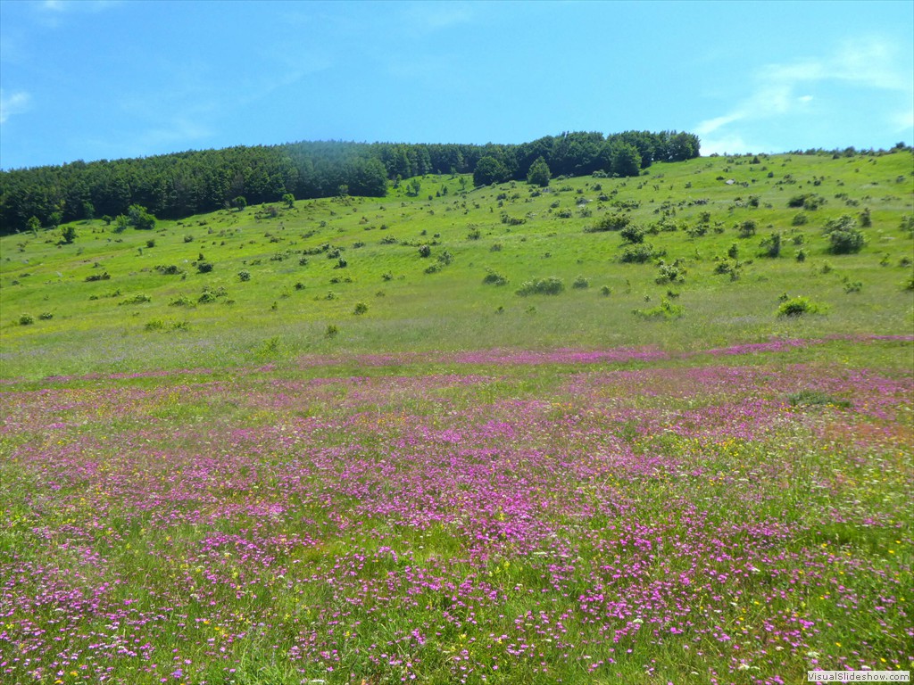 P1050795