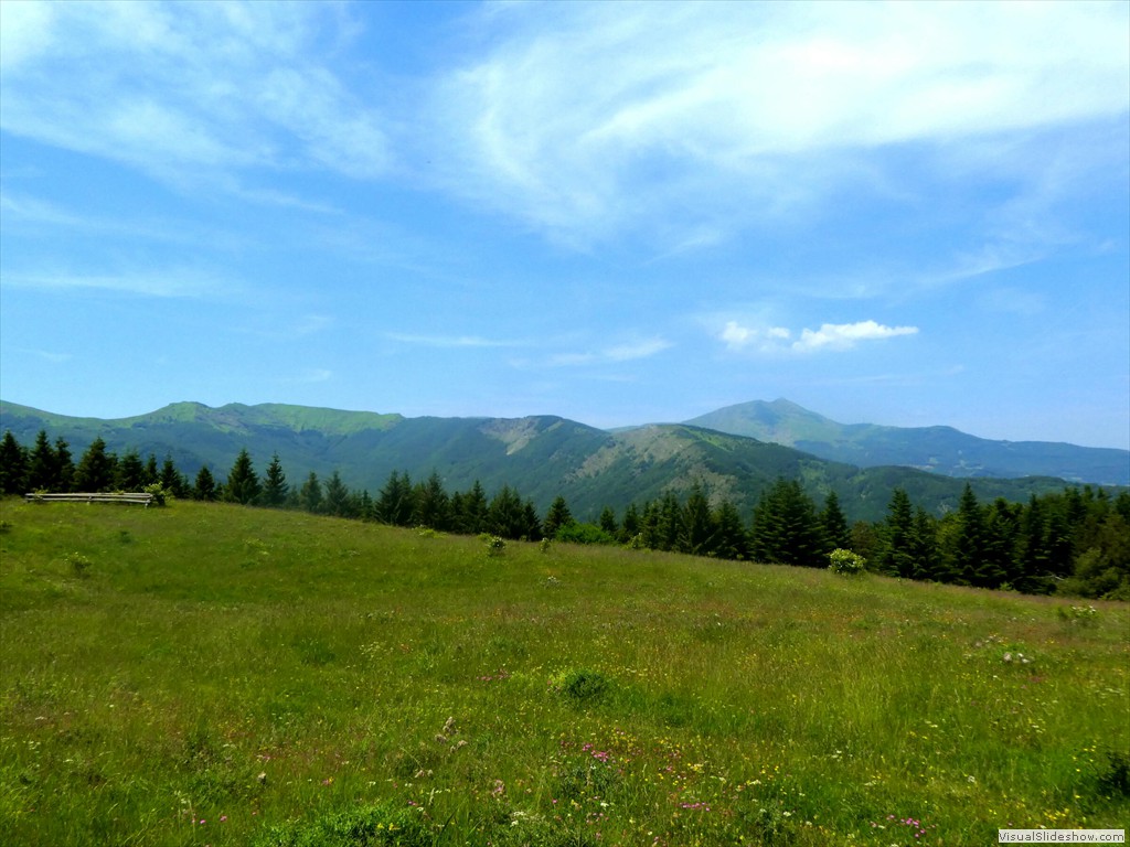 P1050799