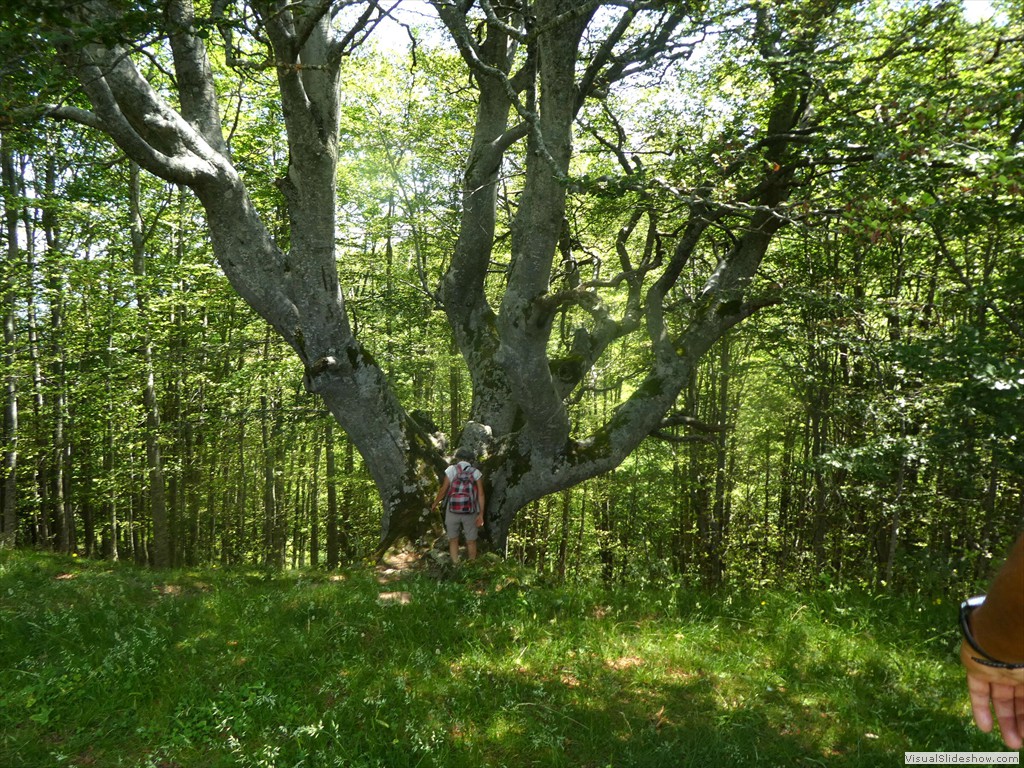 P1050803