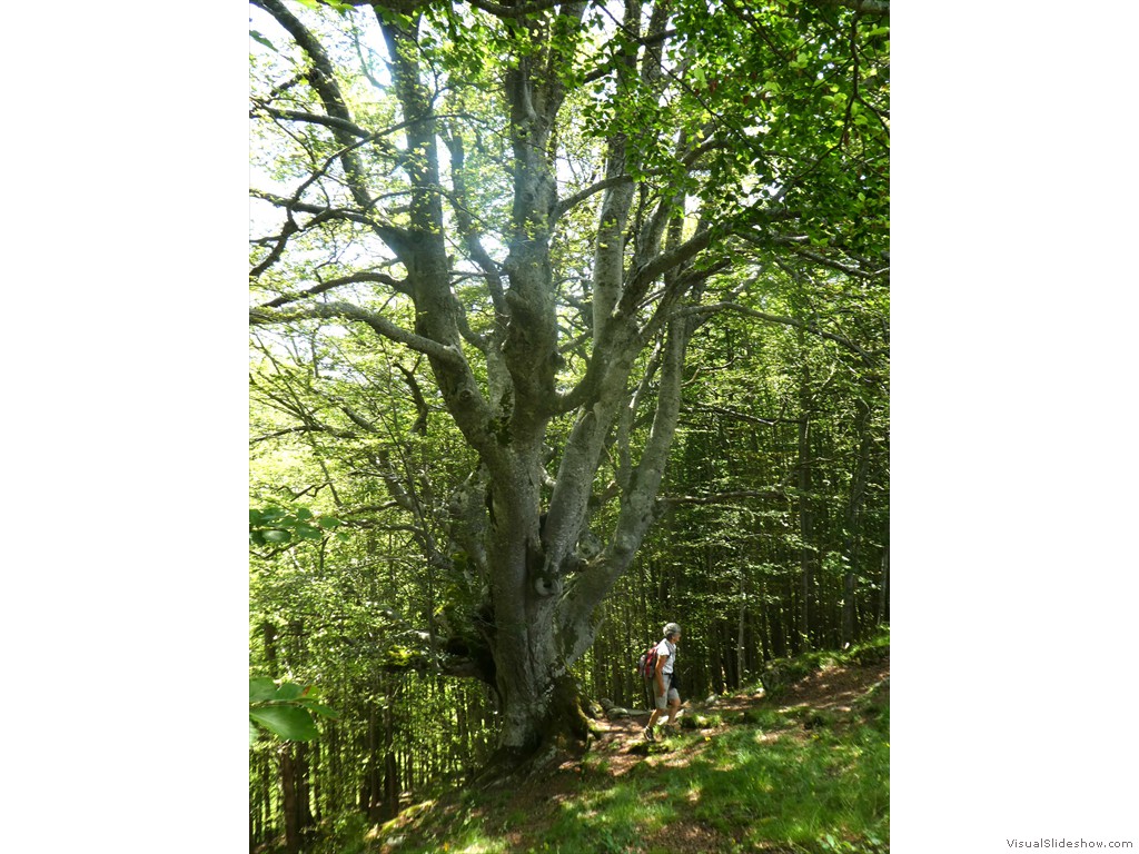 P1050807