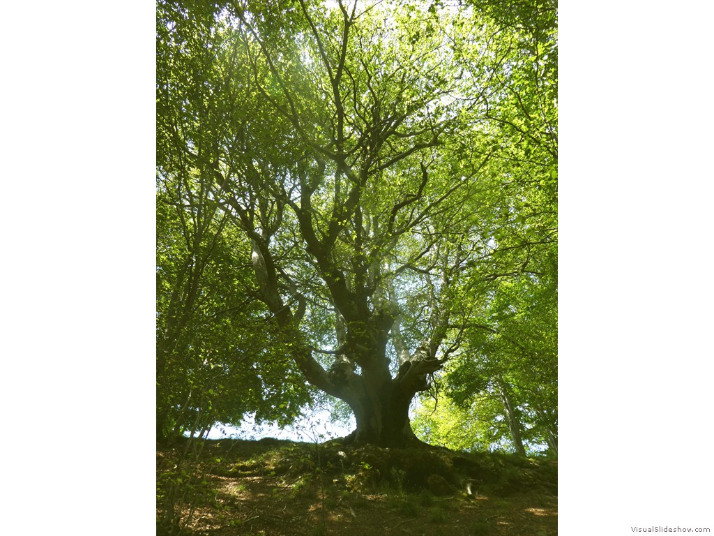 P1050811