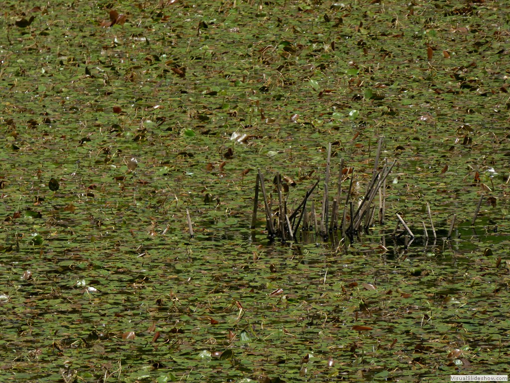 P1050818