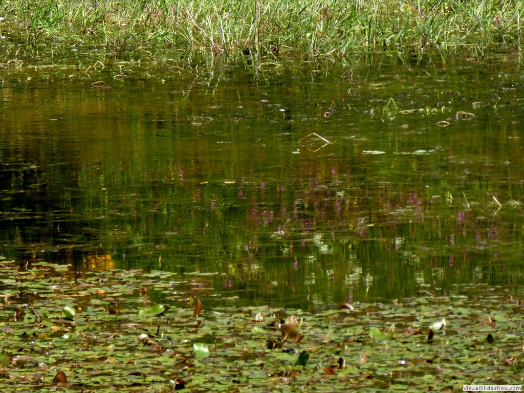 P1050819