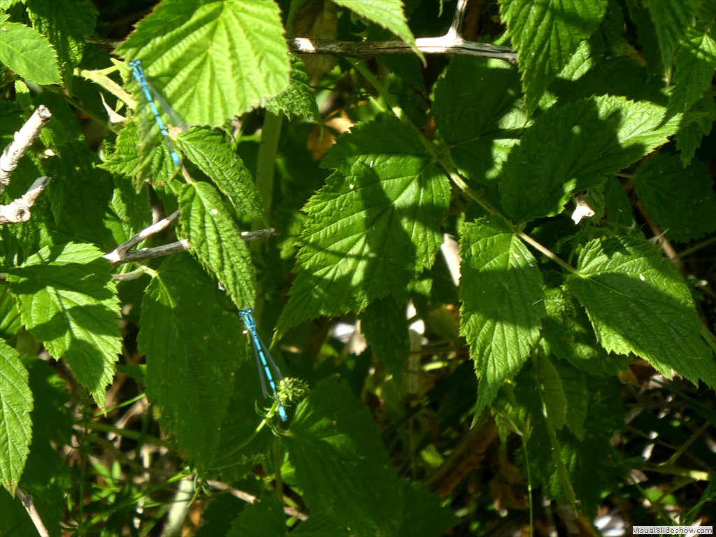 P1050823